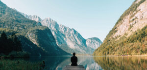 Economic And Bio-Inspired Perspectives On Indoor Air Quality Management